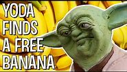 YODA FINDS A FREE BANANA - The Puppet Yoda Show