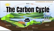 The Carbon Cycle Process