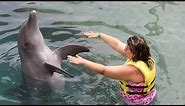 Swimming With Dolphins Cozumel Mexico | DOLPHINARIS