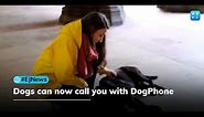 Now dogs can give you a call, with their DogPhone