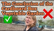 Cardboard Box Vegetable Garden PROS & CONS How to Grow Tomatoes & Squash BETTER Container Gardening