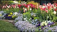 Linda Vater's Spring Tulip Garden 🌷🌷