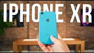 iPhone XR Hands-on: Everything You Need to Know