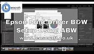 Epson Print Driver Black & White Setup Using ABW