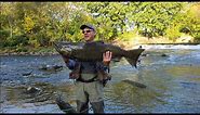 Milwaukee River Salmon Fishing Fall 2021 (Short GoPro edit 3)