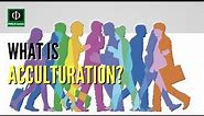 What is Acculturation?