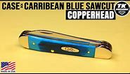Case Carribean Blue Sawcut Bone Copperhead Pocket Knife 25588 (6249W SS)