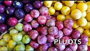 Produce Beat: The Many Varieties of Pluots