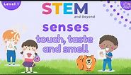 Senses - Touch, Taste And Smell | KS1 Year 1 Science | Home Learning