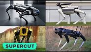 ALL the robotic dogs ever invented! (Watch it here)