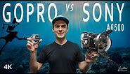 Best Underwater Video Camera - Sony a6500 vs Gopro Hero 7 Black