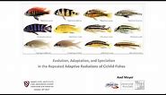 Evolution, Speciation, and Adaptation of Cichlid Fish | Axel Meyer || Radcliffe Institute