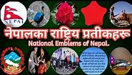 नेपालका राष्ट्रिय प्रतीकहरू(National Emblems of Nepal)।।History In Nepali। ।