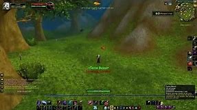 How to Tame Animals as a Hunter on "WoW" : World of Warcraft Tutorials