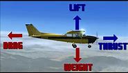 The Aerodynamics of Flight
