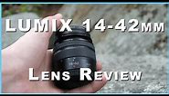 Panasonic LUMIX 14-42mm Lens Review | The BEST Kit Lens Ever?