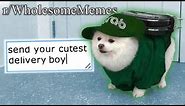 r/WholesomeMemes | cutest memes on the internet