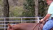 How to ride a reining sliding stop | Tim Anderson Horse Training