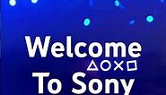 Welcome To Sony Airlines…