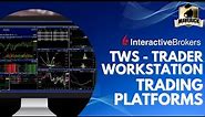 Interactive Brokers Tutorial: How to use various Trading Platforms with Interactive Brokers TWS