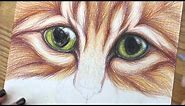 Cute Kitty Cat with Big Eyes Drawing - Short