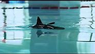 Remote Control Shark Toys Swimming Pool Bathroom Kids Toy Cool Toys Shark Submarine