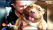 Happy Pit Bull Dog Loves It When His Dad Babies Him | The Dodo Pittie Nation