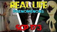 REAL LIFE | Phenomenons | SCP-173