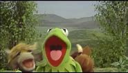Kermit The Frog Sing and Dance Shot By Lmfao [KERMIT MEME]