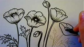 Flower Tutorial - How To Draw Flowers - Poppy Flowers