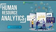 HR Analytics 101: The Ultimate Guide to Using Data to Improve Your Workforce | HR Analytics Tools