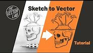 Convert Drawings Into VECTOR Graphics • Illustrator & Procreate Tutorial