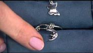 Sterling Silver Charm Ring by Extraordinary Life on QVC