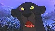 The Jungle Book (1967) - Bagheera Talks With Baloo About Mowgli