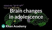 Brain changes during adolescence | Behavior | MCAT | Khan Academy