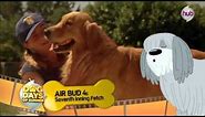 Pound Puppies Dog Days of Summer - Movie Marathon - The Hub