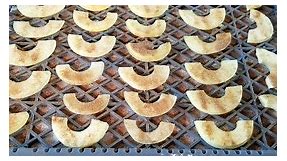 Dehydrating apples with cinnamon and sugar