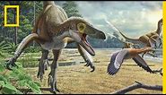 Dinosaurs 101 | National Geographic