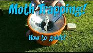 Moth trapping 101 for beginners!