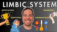 The Limbic System - Motivation, Emotions, Memories, and Drives