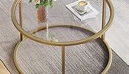 SAYGOER Small Glass Coffee Table Round Gold Coffee Table for Small Space Modern Simple Center Table with Gold Frame for Living Room Home Office, Easy Assembly