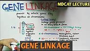 Gene Linkage | Recombination | NMDCAT 2021