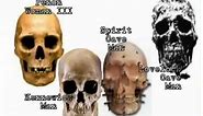 First Americans. Differences In Skull Shapes of the Humanoidic Species