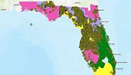 Florida Sinkhole Map: Where Have Incidents Been Reported In The State?