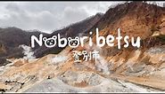 Noboribetsu, Hokkaido | Onsen, Jigokudani, Bear Park 🐻