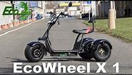 Elektrická koloběžka EcoWheel X1/electric scooter EcoWheel X1