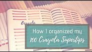 Crayola Super Tip Markers 100 pack - How to Organize and Swatch colors