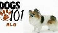 Dogs 101 - Mi-Ki