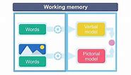 The Role of Working Memory for Learning