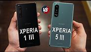 Sony Xperia 1 III vs Sony Xperia 5 III - Comparison